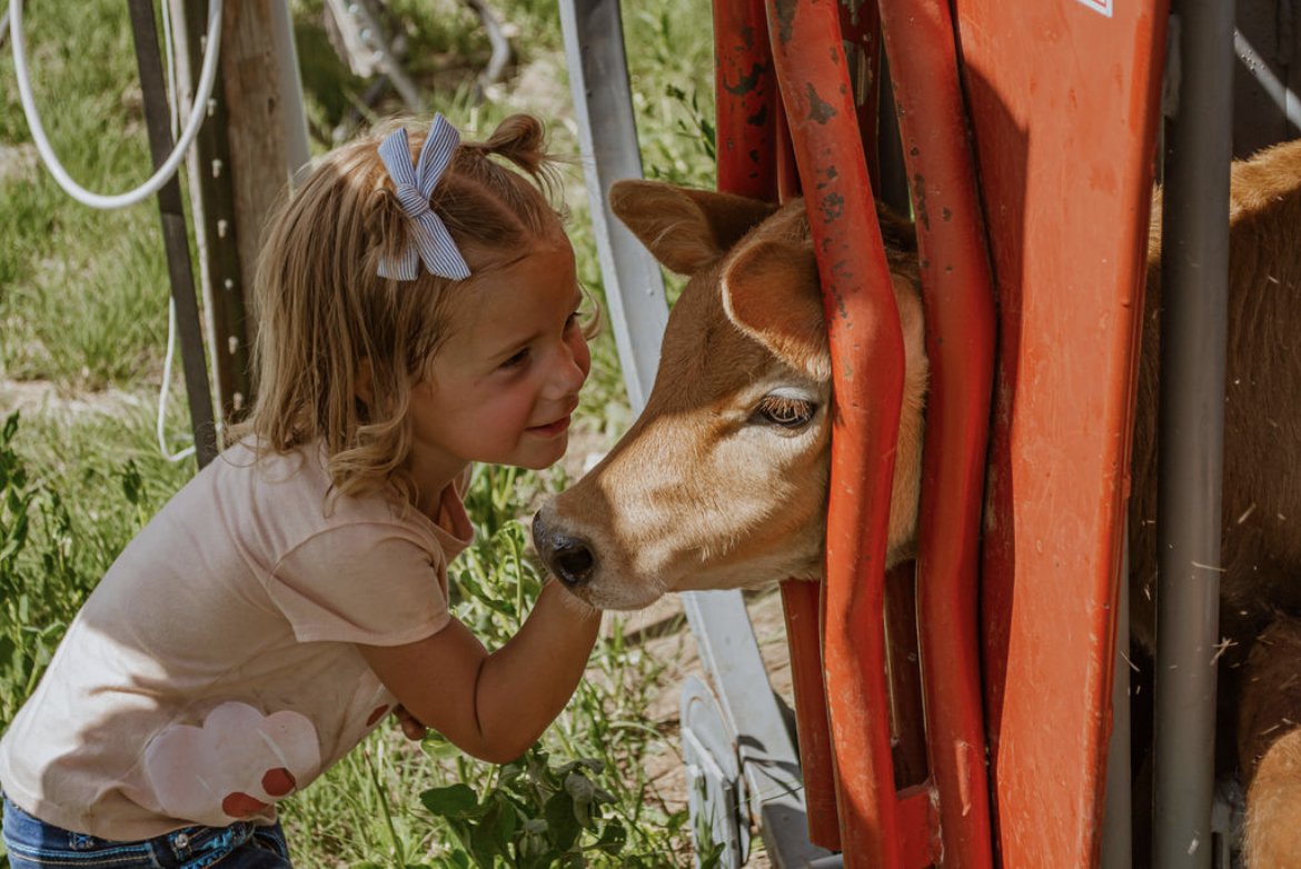 Young girl interacting with a calf on a farm, showcasing a tender moment in a natural outdoor setting.